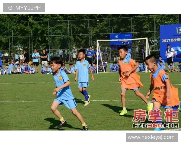 足球明星金羽洋的传奇之路与未来发展展望 足球明星金羽洋的传奇之路与未来发展展望